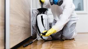 Best Fumigation Services  in South Pasadena, FL