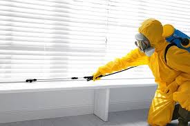 Reliable South Pasadena, FL Pest Control Solutions